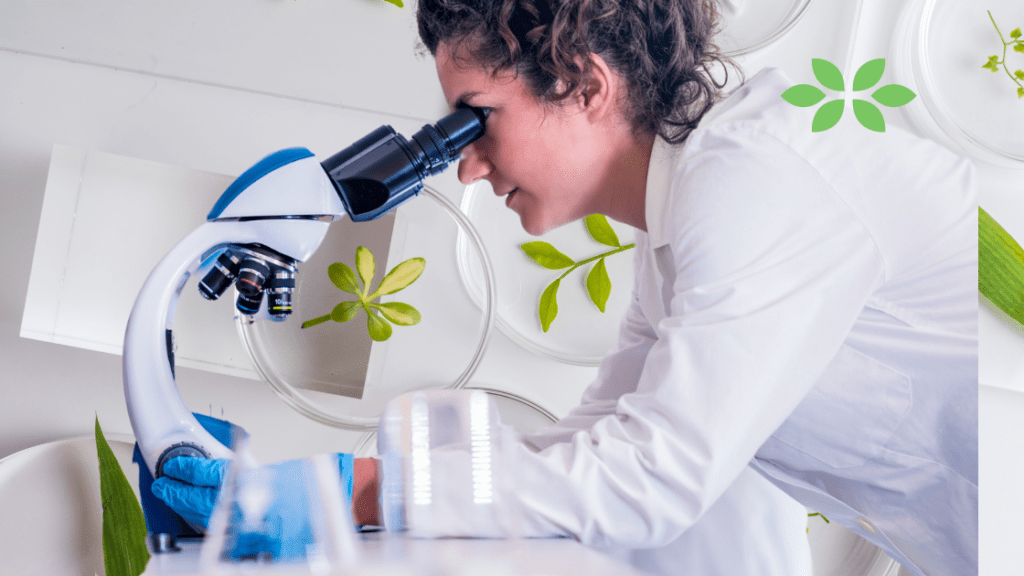 Drenare il tuo organismo: un programma semplice, economico ed efficace con il nuovo Kit Drenante della Forever Living 13 Validita scientifica del Kit Drenante