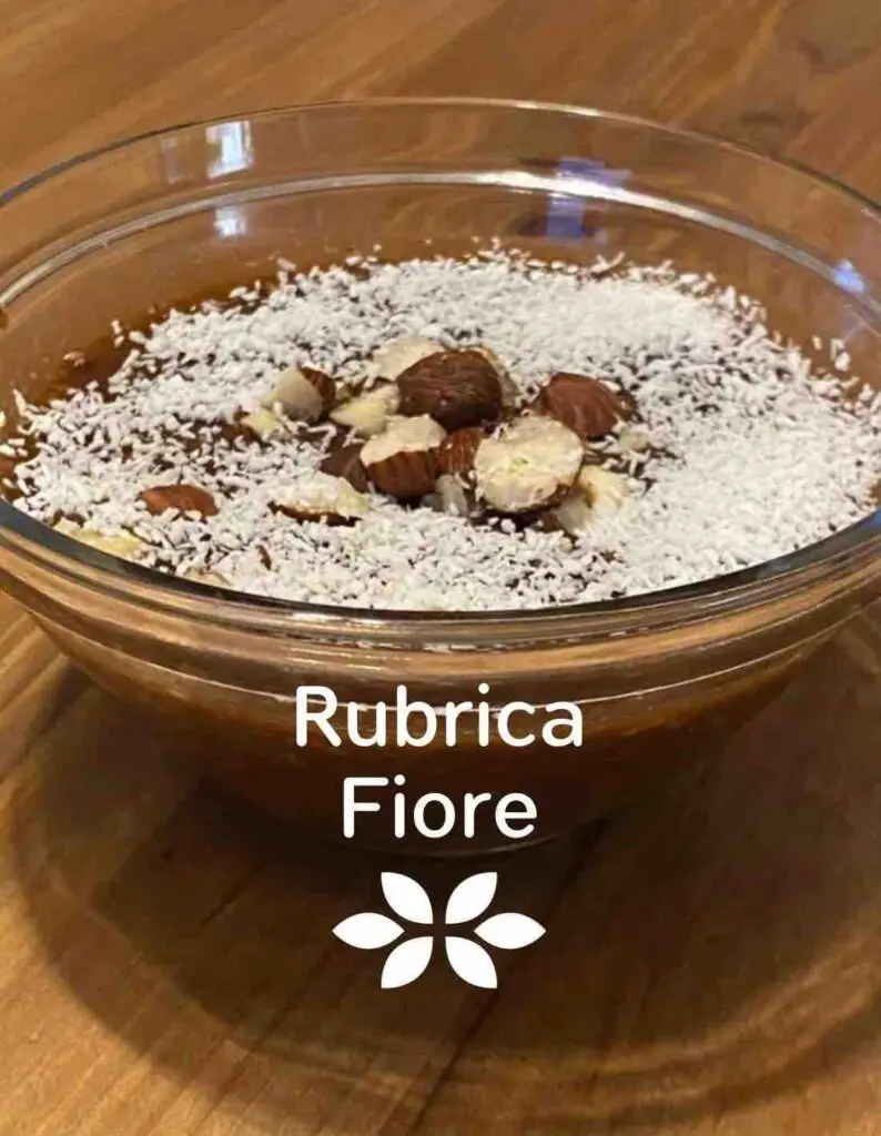 Dolci vegani e salutari con un tocco speciale: scopri i segreti dei dolci proteici e gustosi con Forever Lite Ultra! 10 porridge cremoso