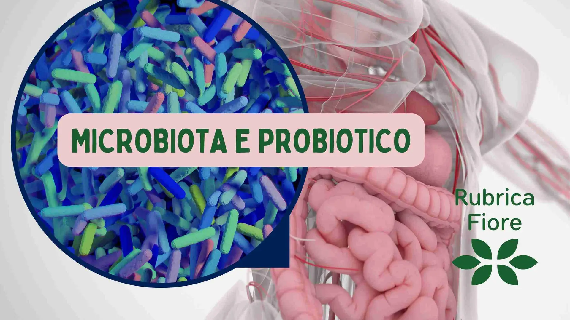 Active Pro-B: per la salute del tuo microbiota intestinale. 2 microbiota intestinale e probiotici